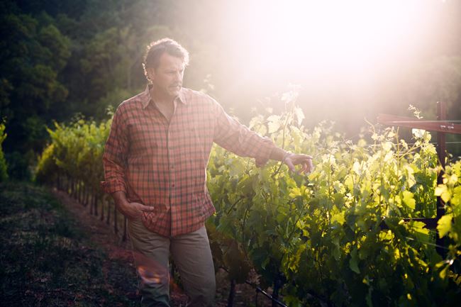 Winemaker, Chris Carpenter